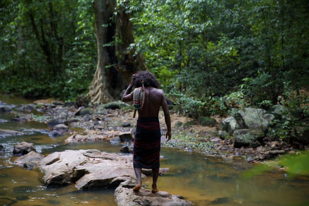 Gal Oya Lodge Galgamuwa  Bilik gambar