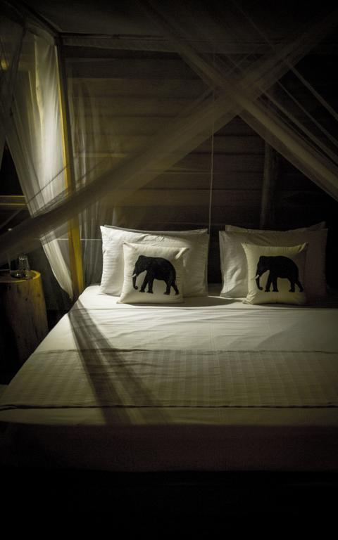 Gal Oya Lodge Galgamuwa  Bilik gambar